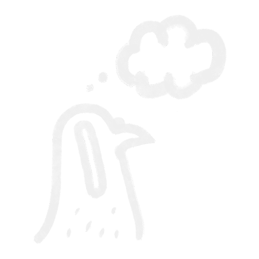 Pigeon Thoughts Logo